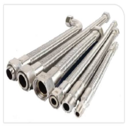 SS Hose With BSP FTGS-1M